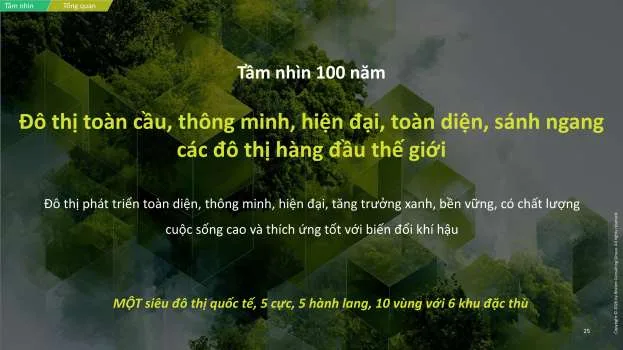 Sơ đồ Quy hoạch TP.HCM tầm nhìn 100 năm — Tầm nhìn 100 năm: đô thị toàn cầu, thông minh, hiện đại